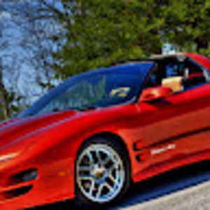 Meet your Posher, Patrick